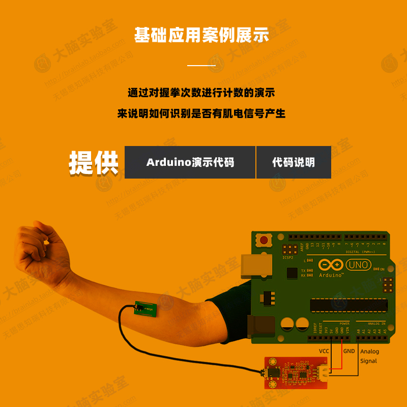 EMG 단일 전도 근육 전기 및 표면 근전도 센서 - Muscle Sensor Emg 리뷰 및 가격